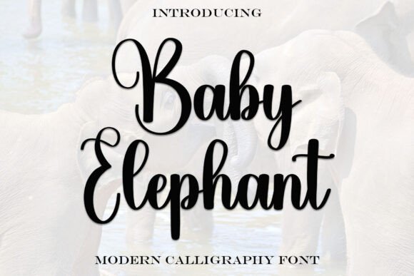Baby Elephant Font: An Elegant Handwritten Typeface for Brands