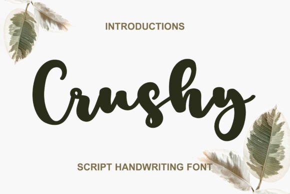 Crushy Font: A Delicate Handwritten Typeface for Brand Builders