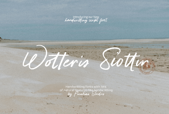 Why Wotteris Siottin Belongs in Your Web Design Toolkit